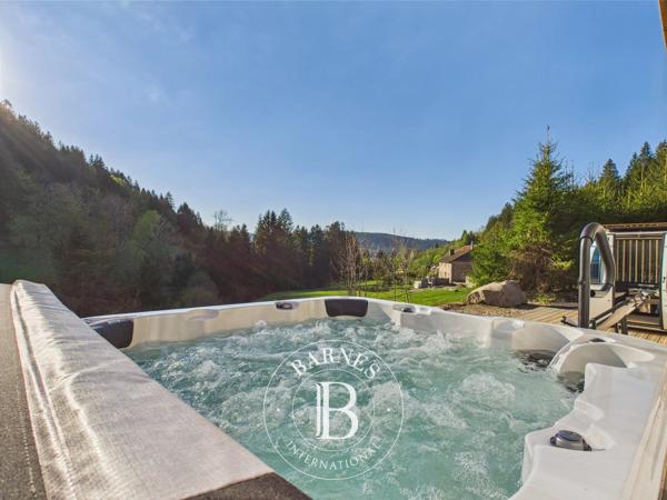 Gérardmer, Maison  250 m² à vendre
