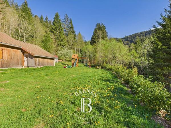 Gérardmer, Maison  250 m² à vendre