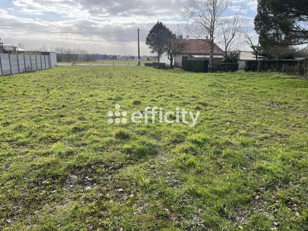 Terrain - 750 m²