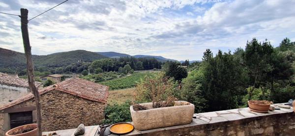 Maison de village avec terrasse et caves LE BOUSQUET D'ORB