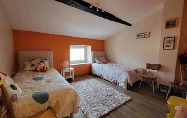 Vente Maison local commercial - garage - terrasse Lozanne   