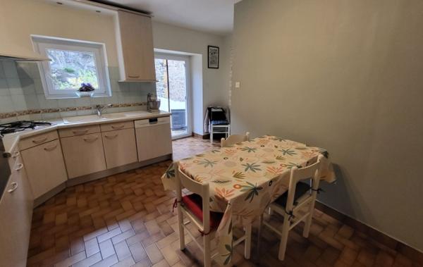 Vente Maison local commercial - garage - terrasse Lozanne   