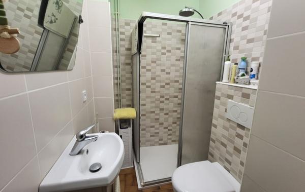 Vente Maison local commercial - garage - terrasse Lozanne   