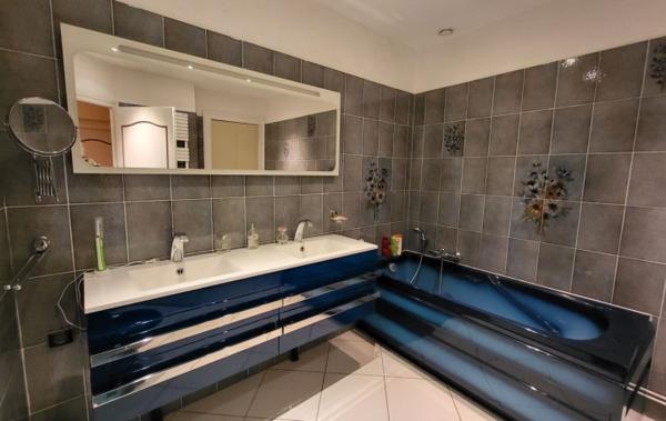 Vente Maison local commercial - garage - terrasse Lozanne   