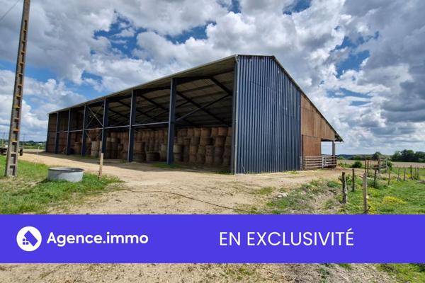 À vendre - Locaux d'activités/entrepôts 1270 m² situé à Souvigné (37330)