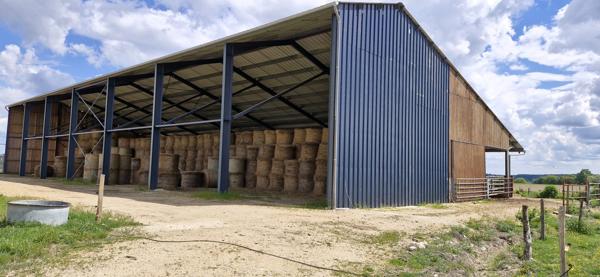 À vendre - Locaux d'activités/entrepôts 1270 m² situé à Souvigné (37330)