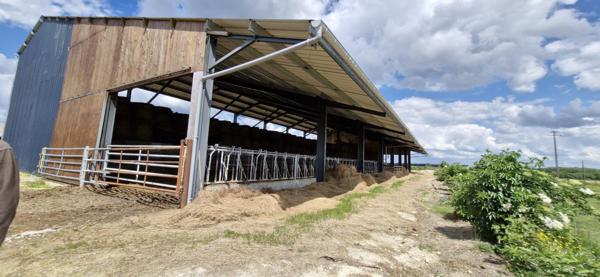 À vendre - Locaux d'activités/entrepôts 1270 m² situé à Souvigné (37330)