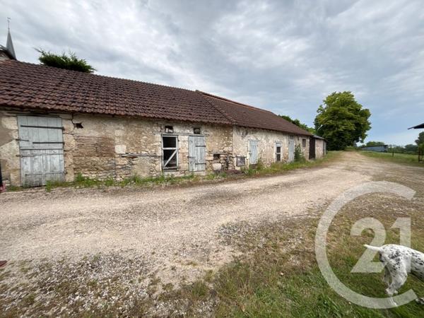 Maison à vendre  12 pièces - 371,26 m2 TAVERS - 45