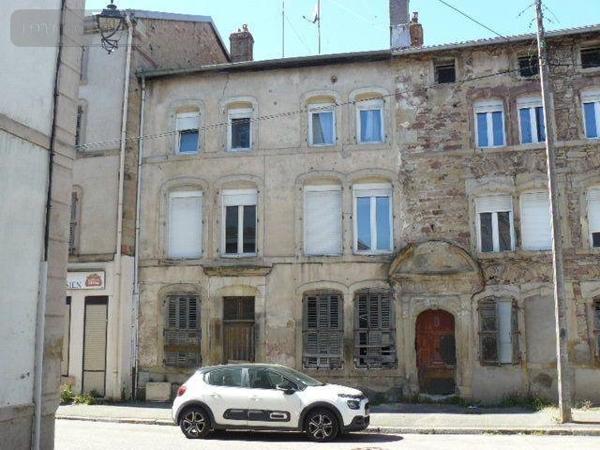 Immeuble à vendre à Rambervillers dans les Vosges (88700), ref : 2271