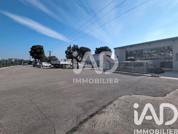Immeuble à vendre 476 m² Le Boulou