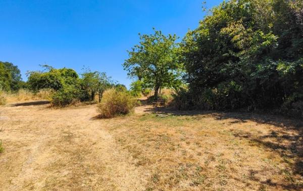 Vente Maison à rénover Sauze-vaussais   