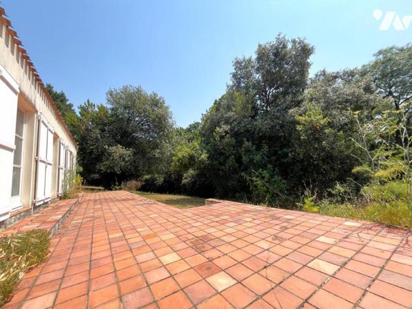 Vertou Le Planty, propriété de 1977 sur parcelle de 6500m², 5 chambres, parc, piscine