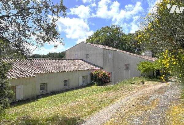 Vertou Le Planty, propriété de 1977 sur parcelle de 6500m², 5 chambres, parc, piscine
