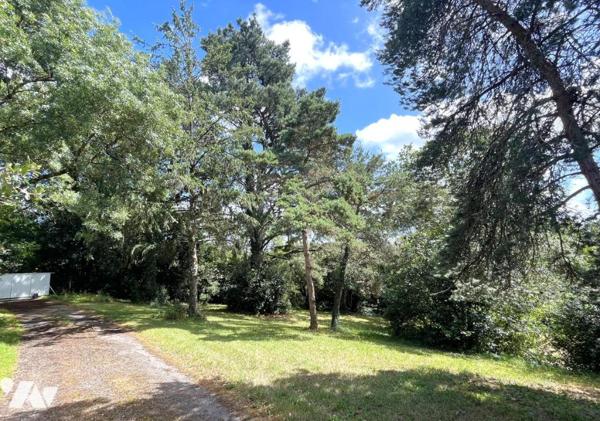 Vertou Le Planty, propriété de 1977 sur parcelle de 6500m², 5 chambres, parc, piscine
