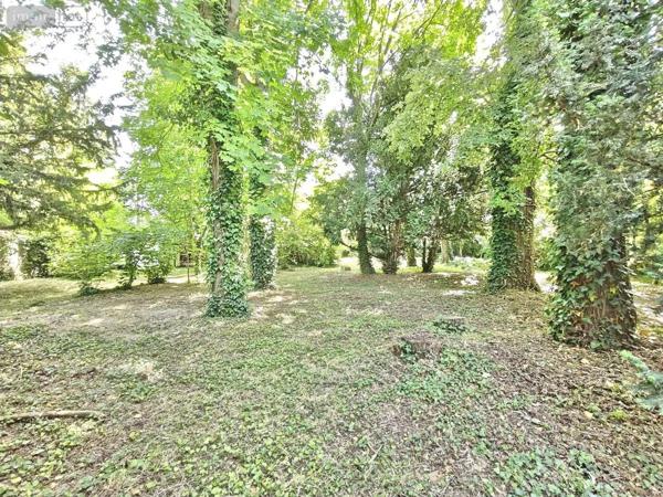 Achat - Maison Witry-lès-Reims 51420 7 pièces 247 m 2 2878 m 2