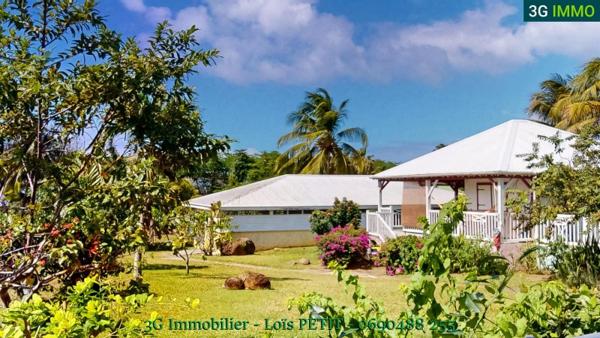 Vente murs / Immeuble