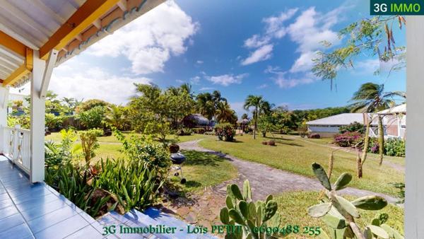 Vente murs / Immeuble