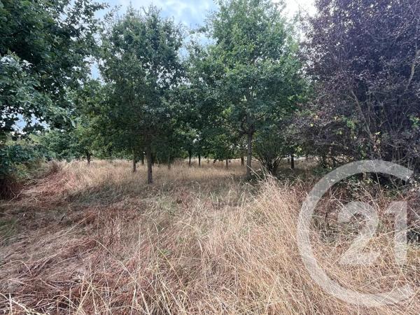 Terrain à vendre  800 m 2   LE FENOUILLER  - 85