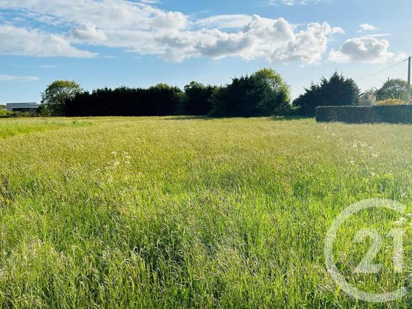 Terrain à vendre  800 m 2   LE FENOUILLER  - 85