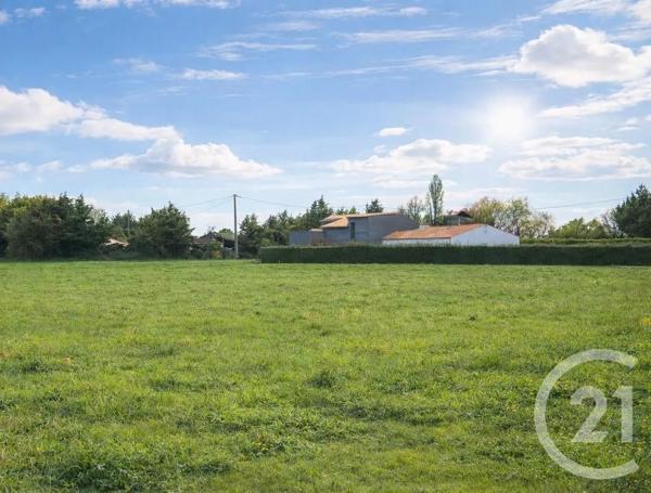Terrain à vendre  800 m 2   LE FENOUILLER  - 85