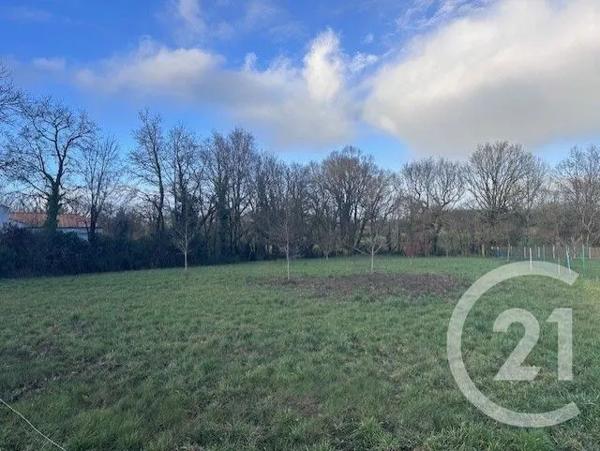Terrain à vendre  800 m 2   LE FENOUILLER  - 85