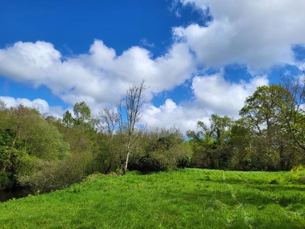 Prairie située dans un cadre reposant au bord du Léguer, à Ploubezre !