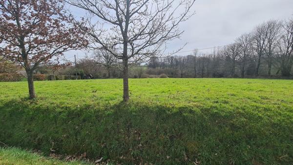 Terrain constructible et divisible