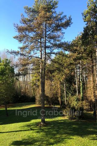 Appartement Royan achat appartement 3 pièces, 63 m²