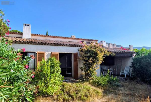 Achat - Maison Le Lavandou 83980 5 pièces 90 m 2 305 m 2