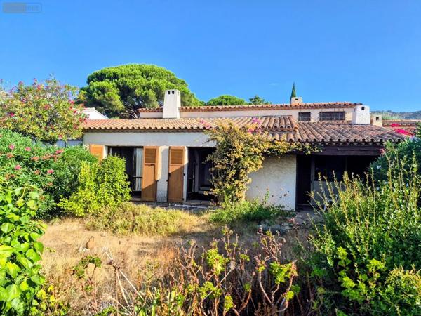 Achat - Maison Le Lavandou 83980 5 pièces 90 m 2 305 m 2