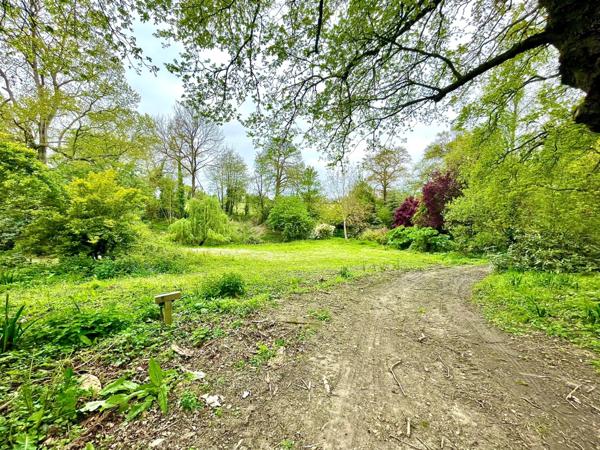 Dpt Ille et Vilaine (35), à vendre PLEURTUIT maison P6