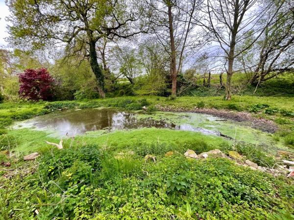 Dpt Ille et Vilaine (35), à vendre PLEURTUIT maison P6