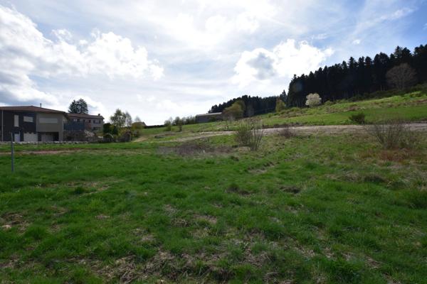 Terrain constructible avec vue – Un cadre de vie idéal à Dunières