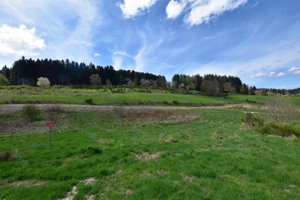 Terrain constructible avec vue – Un cadre de vie idéal à Dunières