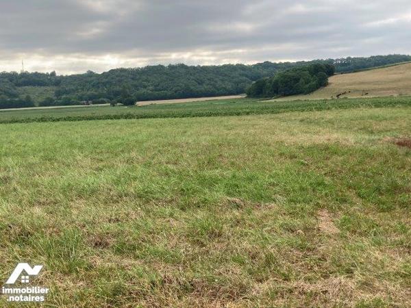 A 10 minutes de MARCIAC, terrain à bâtir avec ferme .