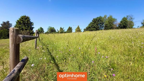MAISON FAMILIALE À VENDRE À GÉRARDMER – VUE MONTAGNE, VUE SUR LES PISTES DE SKI ET 9 117 M² DE TERRAIN