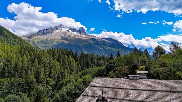 Vente Chalet de luxe Chamonix-Mont-Blanc 9 Pièces 295 m²
