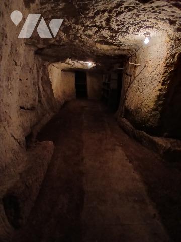 Maison d'habitation à Loches avec dépendances et terrain