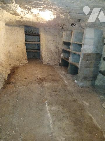 Maison d'habitation à Loches avec dépendances et terrain