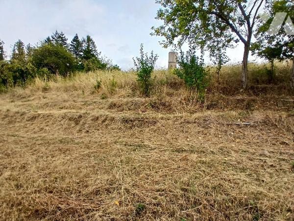 Maison d'habitation à Loches avec dépendances et terrain