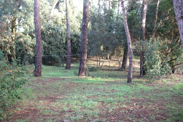 Villa familiale sur belle parcelle de 1 955 m2