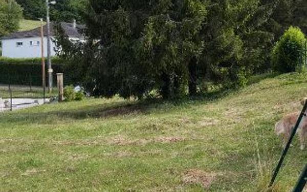 Terrain à vendre    Fains-Véel