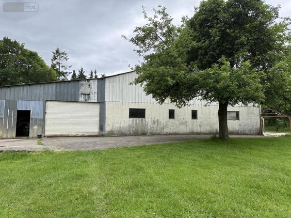 Achat - Immeuble Ménéac 56490 300 m 2 9870 m 2