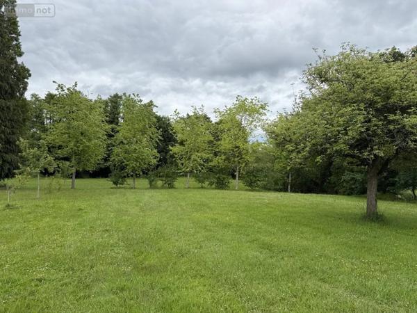 Achat - Immeuble Ménéac 56490 300 m 2 9870 m 2