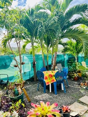 DAMPIERRE- EXCLUSIVITÉ