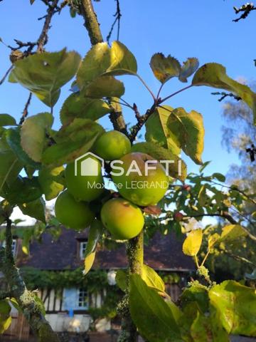 JOLIE MAISON NORMANDE AU COEUR DU PAYS D'AUGE