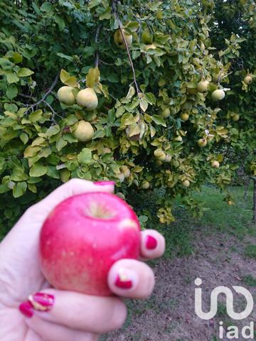 Terrain à vendre 681 m² Ris-Orangis