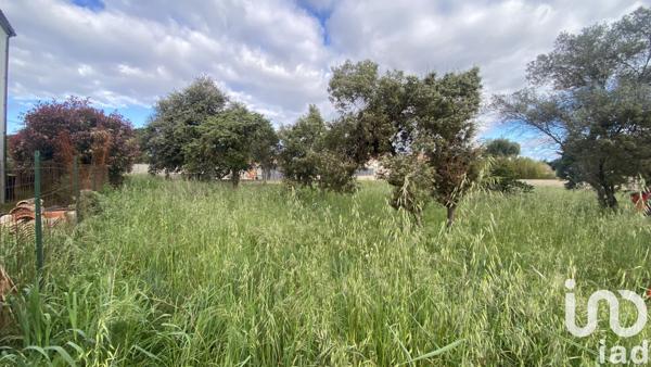 Terrain à vendre 1 305 m² Poulx