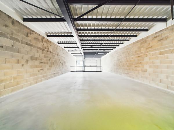 Local d'activité Mesigny 150 m2