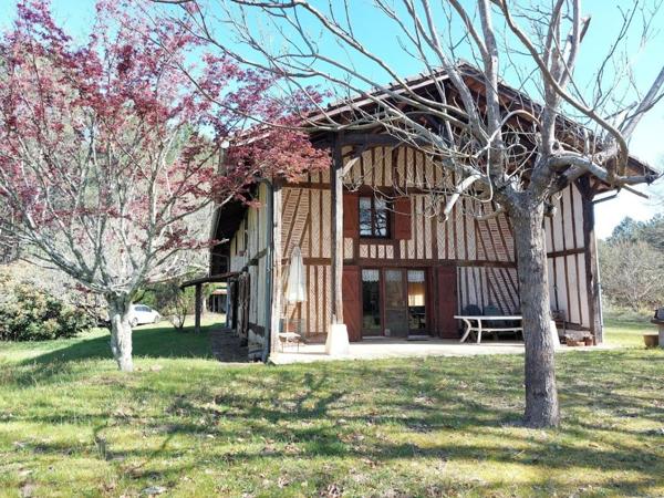 Maison Landaise entre pins et Océan